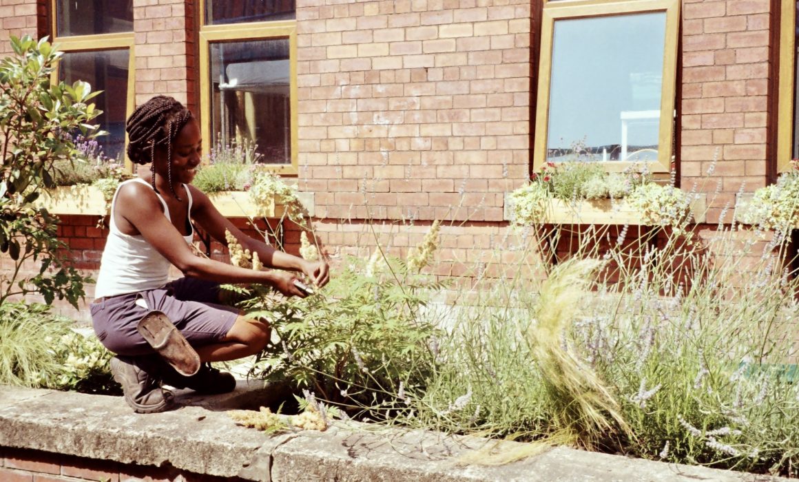 Matilya Njau - Green Fingers